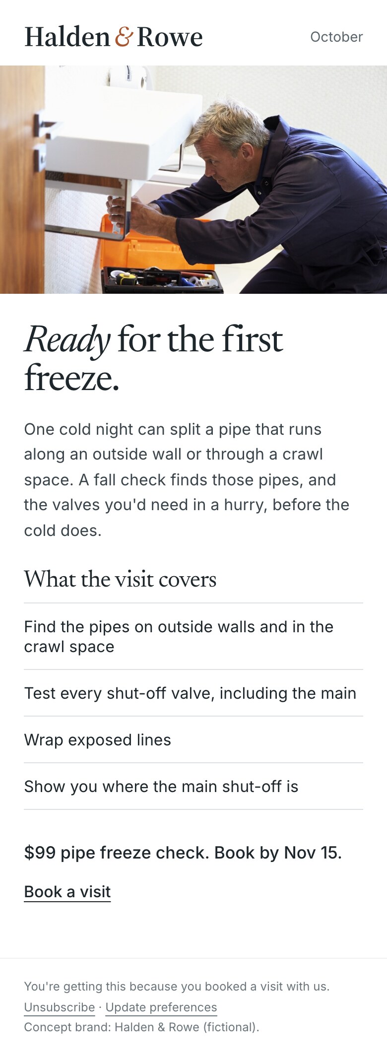 Concept brand: Halden & Rowe (fictional). Email reading: Ready for the first freeze. One cold night can split a pipe that runs along an outside wall or through a crawl space. A fall check finds those pipes, and the valves you'd need in a hurry, before the cold does. $99 pipe freeze check. Book by Nov 15.