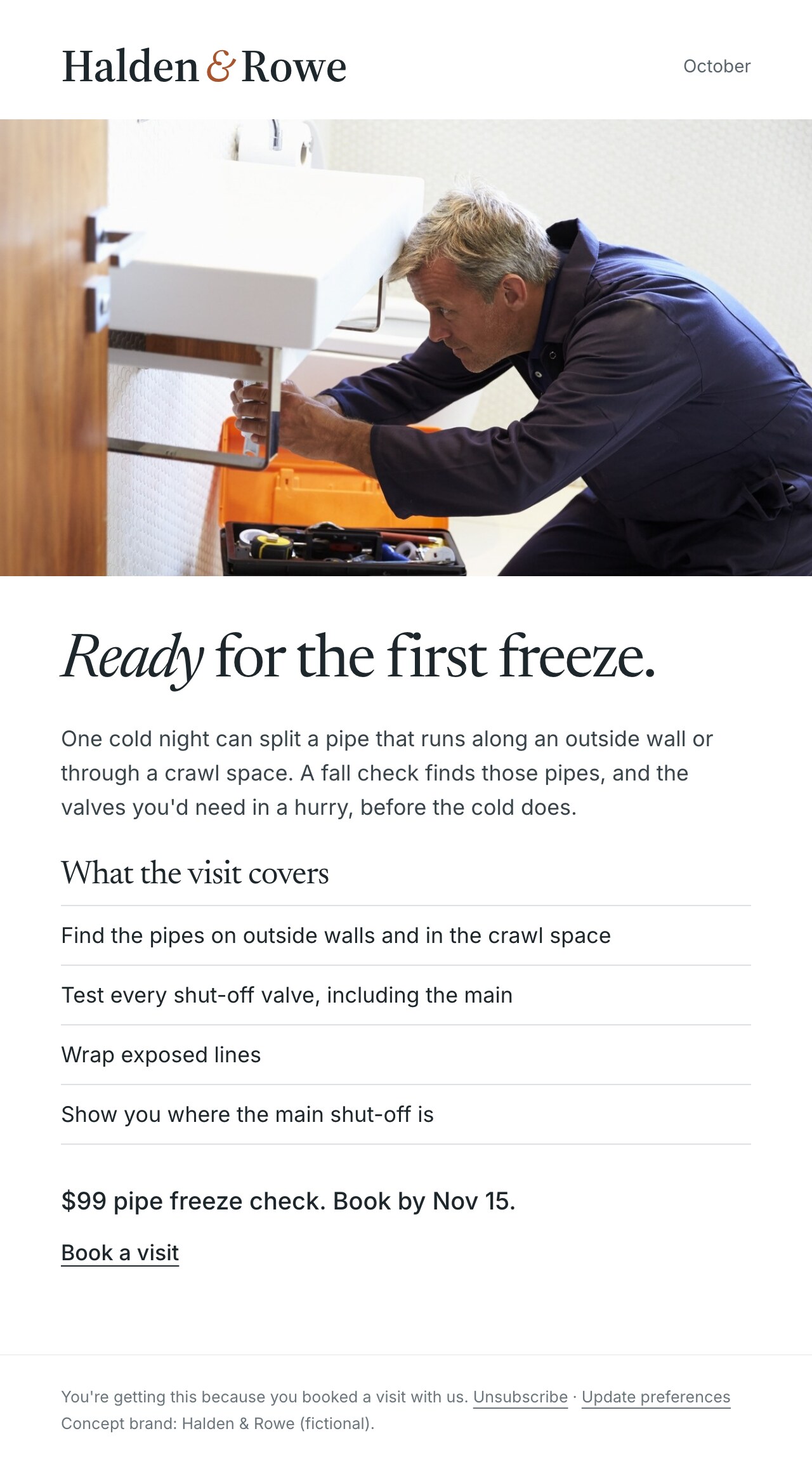 Concept brand: Halden & Rowe (fictional). Email reading: Ready for the first freeze. One cold night can split a pipe that runs along an outside wall or through a crawl space. A fall check finds those pipes, and the valves you'd need in a hurry, before the cold does. $99 pipe freeze check. Book by Nov 15.